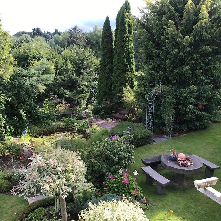Gruene Oase Apartman Kottenheim Kültér fotó